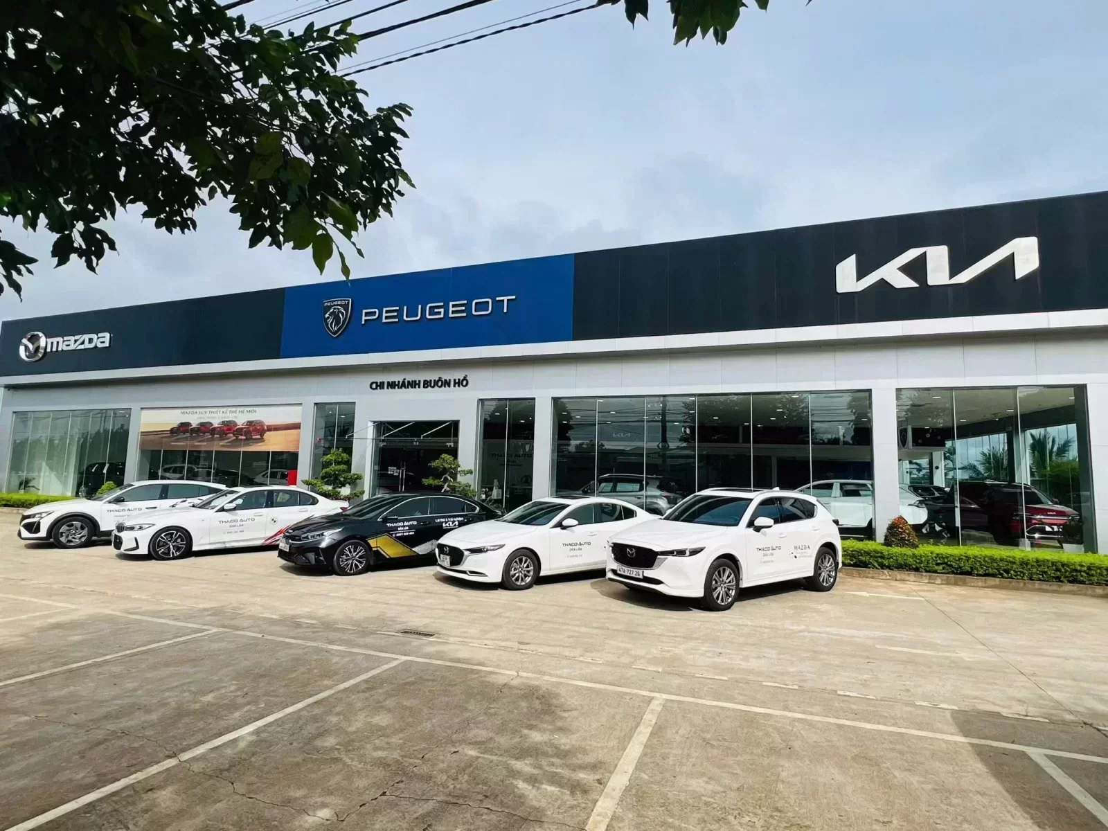 Hình ảnh showroom Mazda Đắk Lắk